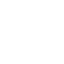 facebook icon in white